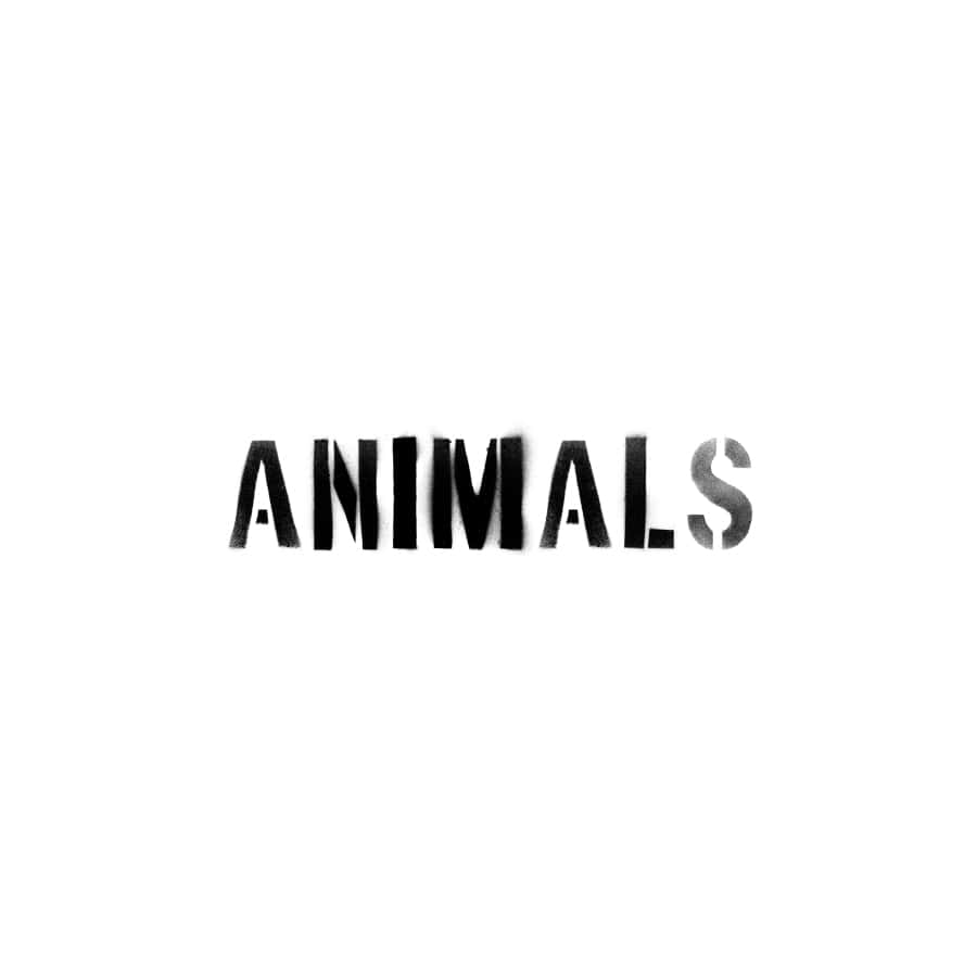Animal Cover Art